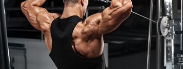 No te olvides de tu deltoides posterior: cómo entrenarlo correctamente 