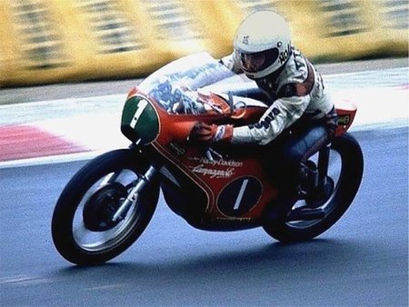 Walter Villa con la HD 250 de GP