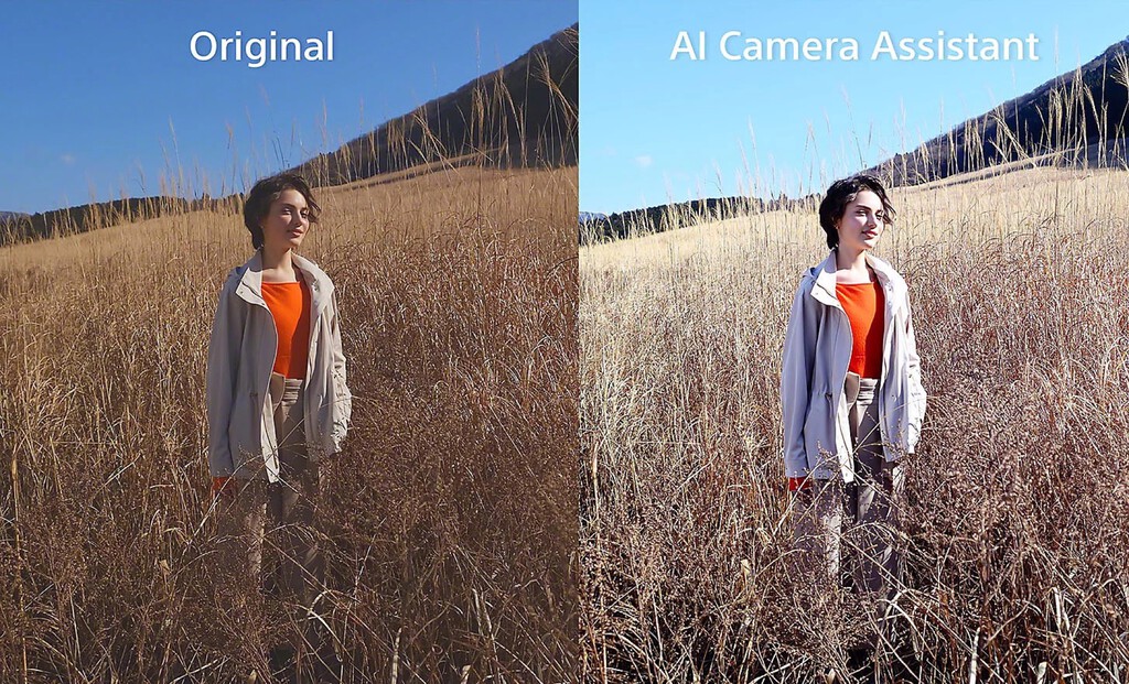 Sony ha sacado pecho de su IA para mejorar las fotos. Le ha salido bastante regular