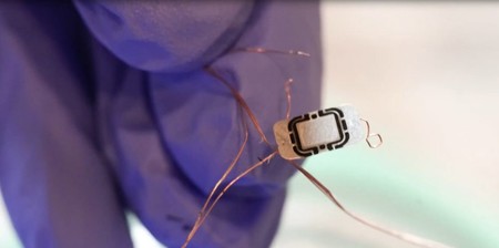 Tesla Model 3 chip RFID implante