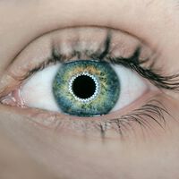 Cientos de jóvenes venden su iris al creador de ChatGPT a cambio de 100 euros y las denuncias no dejan de crecer