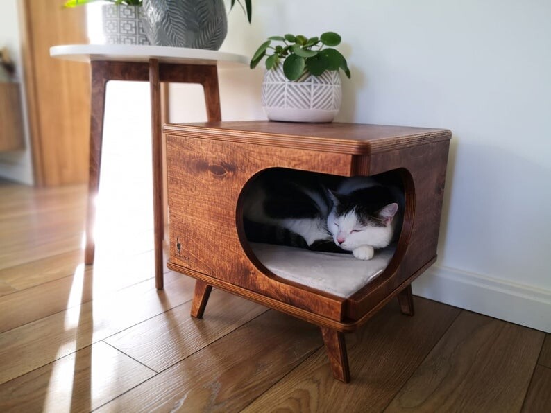 Los mejores muebles y accesorios para gatos