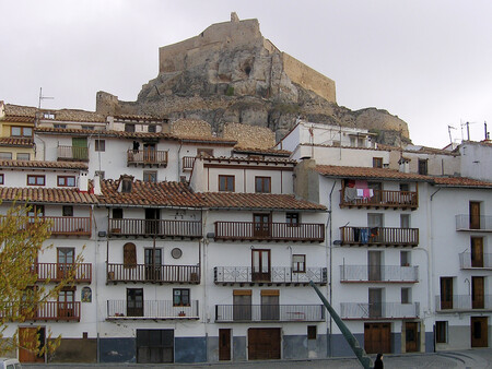 Morella
