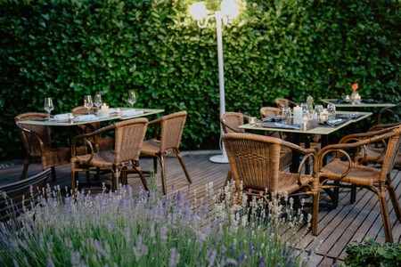 Pexels Boris Ivas 28180462 18823963