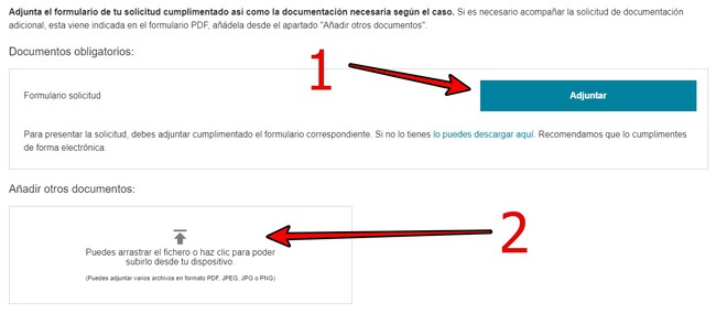 Cómo solicitar la prestación por hijo a cargo en la Seguridad Social ...