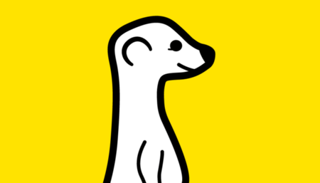 Meerkat
