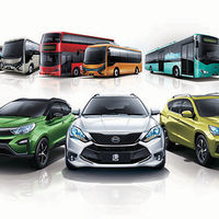 China toma medidas para evitar el posible batacazo de su creciente industria del coche eléctrico