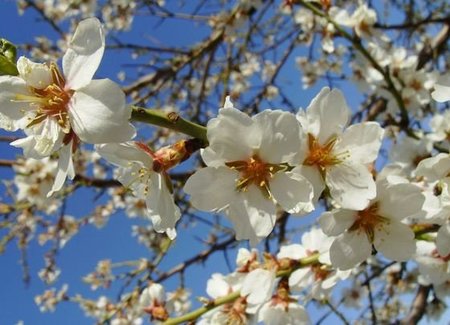 Diez imprescindibles para la Primavera 2011 (I)