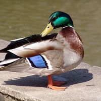 Razones del estancamiento laboral 