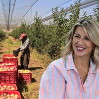 Menos economía sumergida, más cotizaciones. Este es el efecto laboral que se espera de la regularización extraordinaria de migrantes