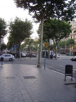 El local más caro de España