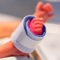 Una pareja con siete hijos decidió ir a por el octavo... ¡y llegaron quintillizos!