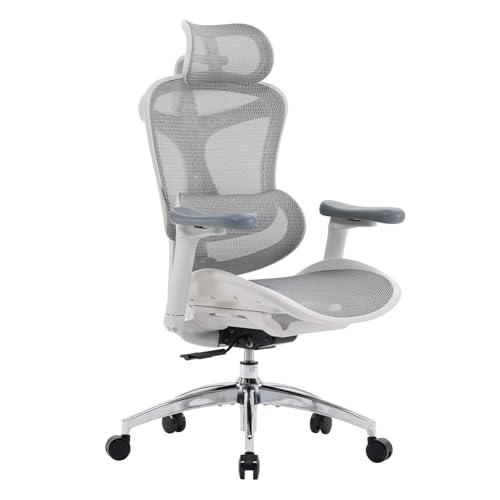 Sihoo Doro C300 - Ergonomic office chair with 3D ultra soft plates, dynamic lumbar support for office chair, adjustable backrest for desktop chair (gray)