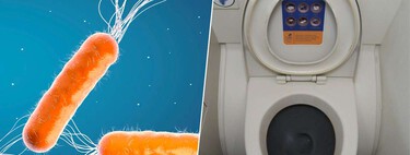 Nadie sabe cómo combatir las superbacterias, pero hay quienes ya son de ayuda: los que hacen caca en los aviones 