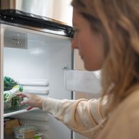 Hay una temperatura ideal para mantener el frigorífico durante todo el año, incluido el verano, y los expertos la conocen