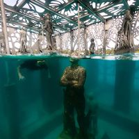 The Coralarium, un homenaje a la vida marina en las Maldivas