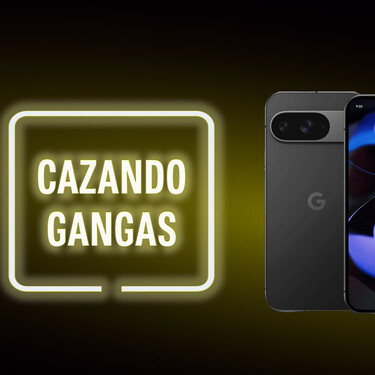 Cazando Gangas