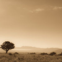 Nombres autóctonos para las marcas