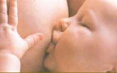 La obesidad acorta la lactancia materna