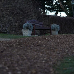 Foto 16 de 17 de la galería sony-a7-iii-muestras-toma-de-contacto en Xataka Foto