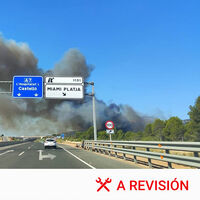 Cruzar una columna de humo con el coche es una mala idea por muchas razones. Esto es lo que debes hacer en un incendio