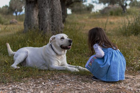 Una niña junto a su perro