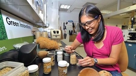 Ford investigación tomate heinz