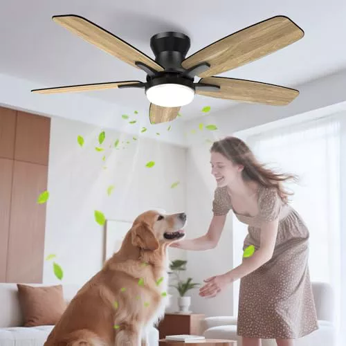 Airwit Ventilador de Techo con Luz Silencioso 106 cm, Ventilador Techo con Mando a Distancia, Lampara Ventilador Techo, Luz Regulable en Brillo y Color, Motor DC, 6 Velocidades, Aspas Doble Cara