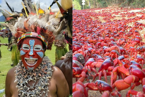 Google Cable Submarino