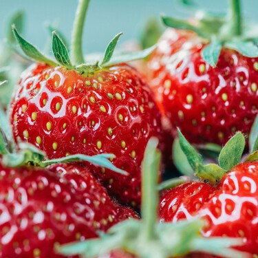 Cómo conservar las fresas correctamente para que duren más y aguanten más tiempo frescas 