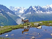 Chamonix, cuna del senderismo y los deportes de aventura