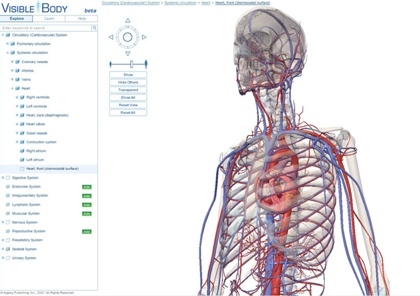 Visible Body, explorando el cuerpo humano en 3D