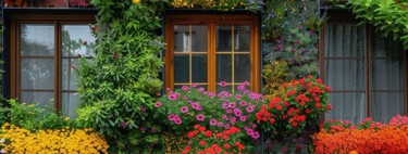 Plantas resistentes y con flores: las favoritas para decorar las jardineras al aire libre