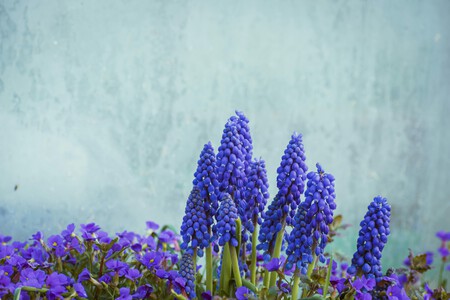 Pexels Nikiemmert 17451910