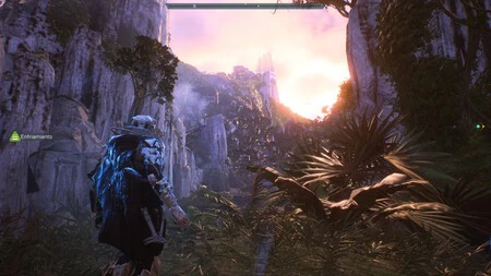 Anthem Tm 20260111234824