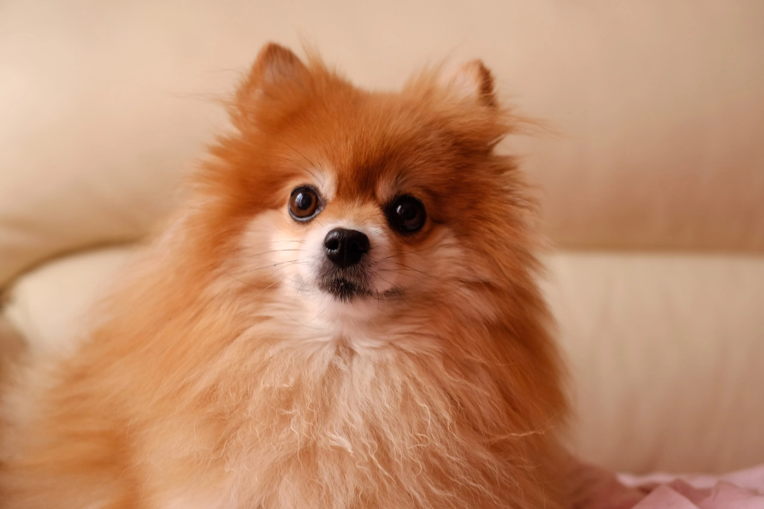 Foto de Fujifilm X-T2 (12 fotos) (10/20)