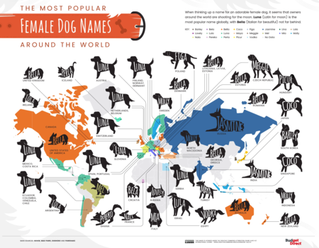 Nombres más populares de perritas del mundo