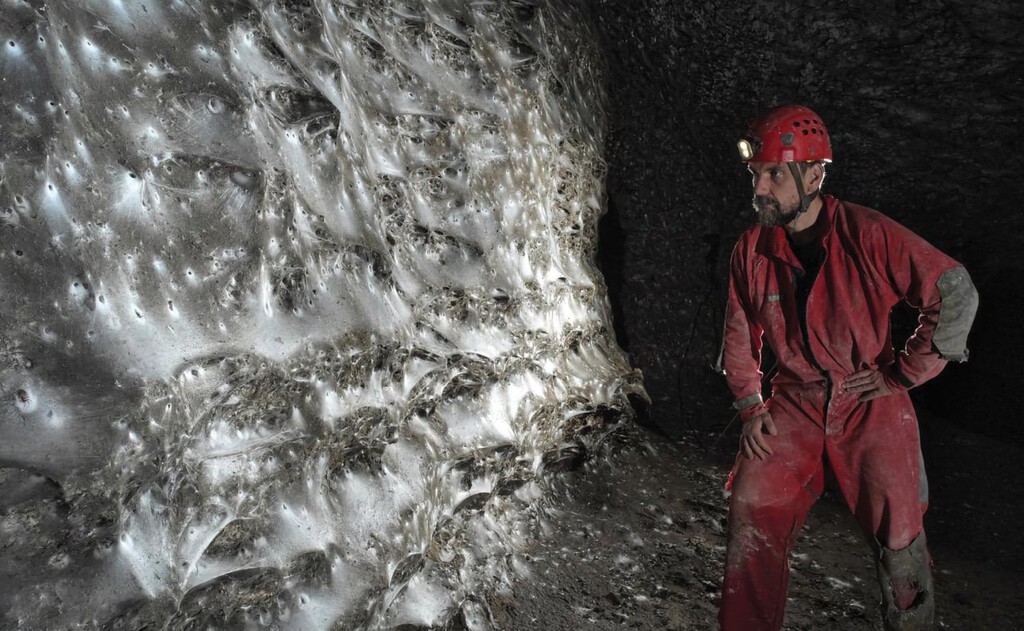 Hemos descubierto una megaciudad de arañas: una telaraña de 100 metros cuadrados donde dos especies enemigas viven en paz 