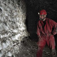 Hemos descubierto una megaciudad de arañas: una telaraña de 100 metros cuadrados donde dos especies enemigas viven en paz 