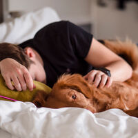 El 93% de los dueños cree que dormir con su perro mejora su descanso. La ciencia acaba de demostrar que es un autoengaño 