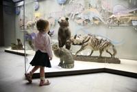 Este fin de semana, disfruta con tus hijos de los museos 