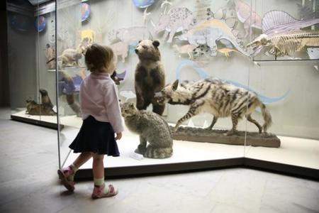 Este fin de semana, disfruta con tus hijos de los museos