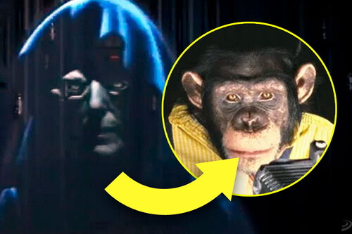 Star Wars Emperador Chimpance O