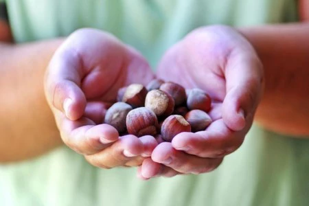 Frutos secos, ¿por qué no deberían faltar en tu dieta si quieres estar en forma?