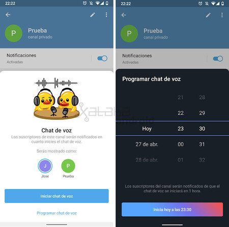 Telegram Chat Voz Programar