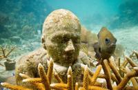 MUSA (Museo Subacuático de Arte), la nueva barrera coralina del Caribe