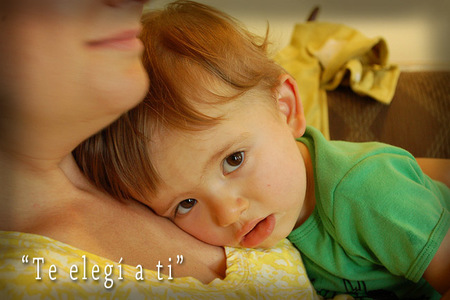 Un poema para el Día de la Madre'12: "Te elegí a ti"