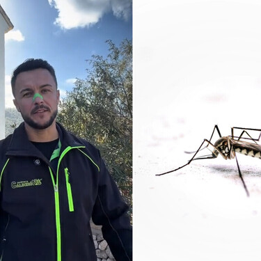 Joan Calderón, jardinero: "Muchas personas te dirán que uses sprays o velas para repeler a los mosquitos, pero yo uso estas tres plantas"