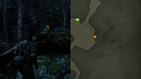 Gako Zona Pantanosa Dremuchij