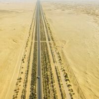 China quería hacer una carretera de 550 km que cruzase un desierto entero. Lo han conseguido creando un bosque artificial 